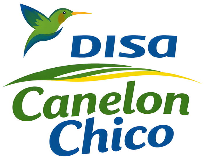 DISA